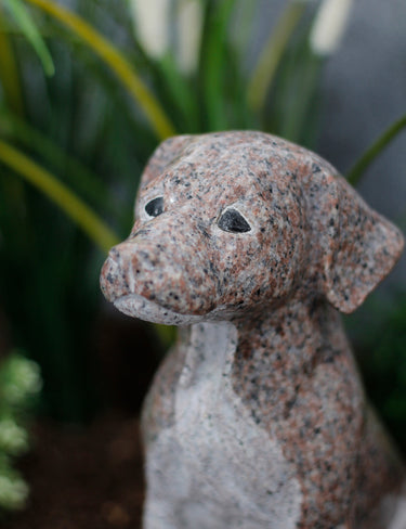 Hund Granit rot